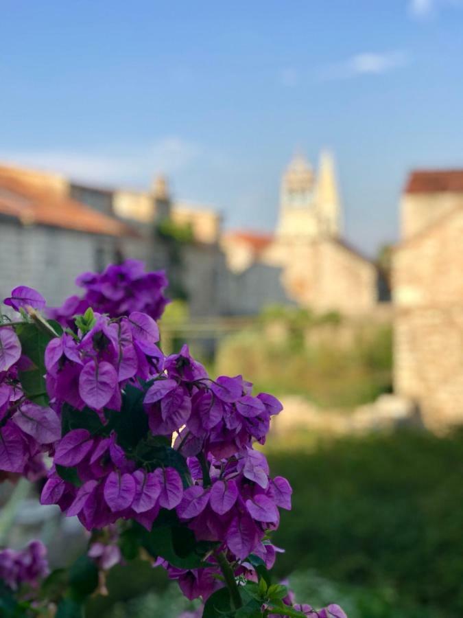 スタリー・グラードApt Bobotovi In Center Of Stari Grad, Hvarアパートメント エクステリア 写真